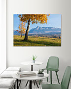 Obraz Jesenná príroda 1472